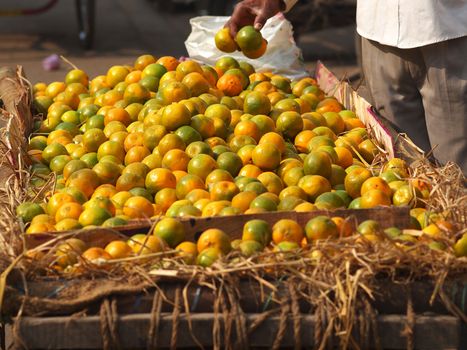 oranges selling on the streets of new delhi     
