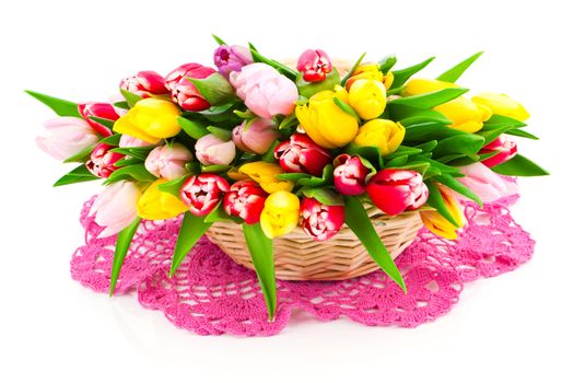 bunch of spring tulips isolated on white