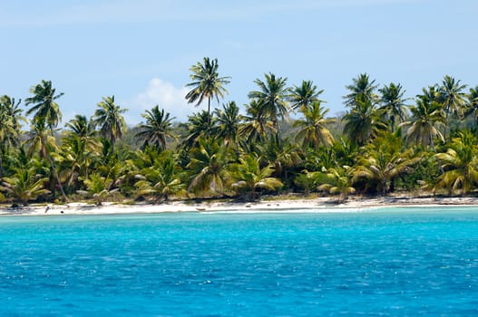 Empty caribbean island with a nice beach and green palms. The picture of the beach is taken from a boat on sea.