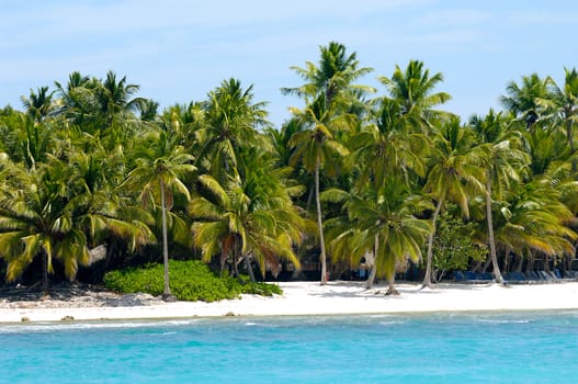 Caribbean island with a nice beach and green palms. The picture of the beach is taken from a boat on sea.