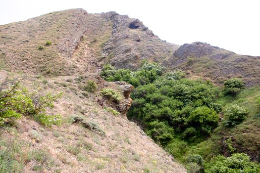 Treeless small mountain with green grass and bush in Crimea
