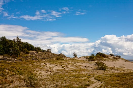 Sand dunes and bushes on Curonian Spit
