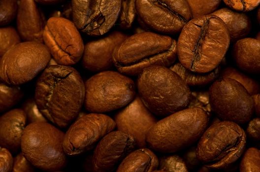 several roasted coffee seeds like texture and background