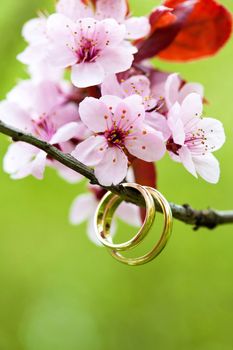 closeup of wedding rings with the pink apple flower