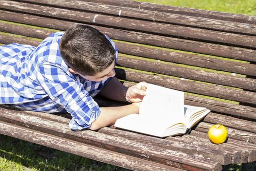 School.Young boy reading a book in the Park Bench, summer