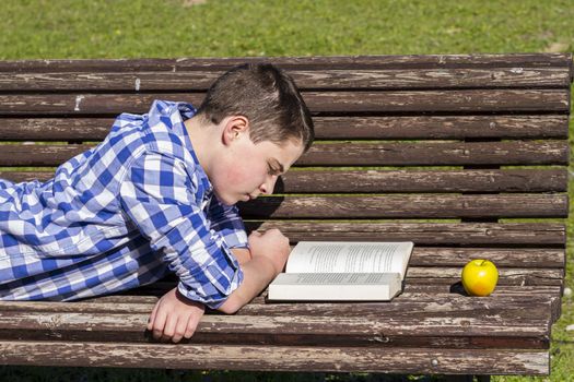 Read.Young boy reading a book in the Park Bench, summer