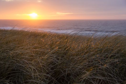 Sunset at the North Sea with Ammophila in the foreground