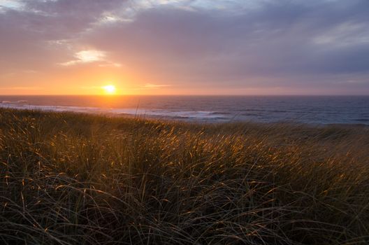 Sunset at the North Sea with Ammophila in the foreground