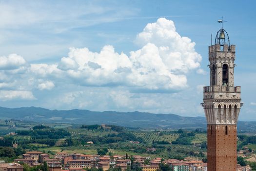 The main tower of Siena in summer day
