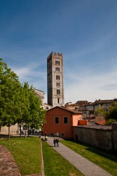 An old big medieval tower in Lucca 
