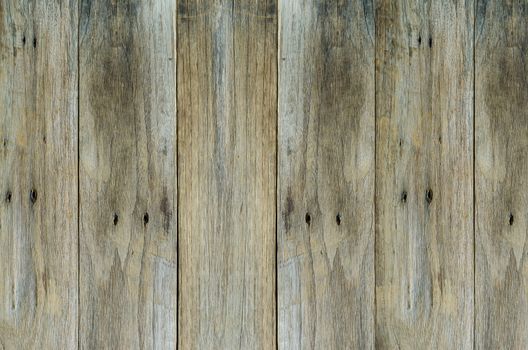 texture  grungy wooden background  : copy space