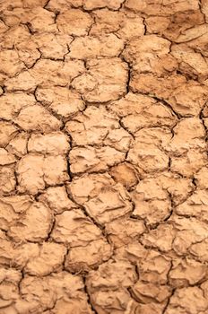 A dry water hole showing cracked mud