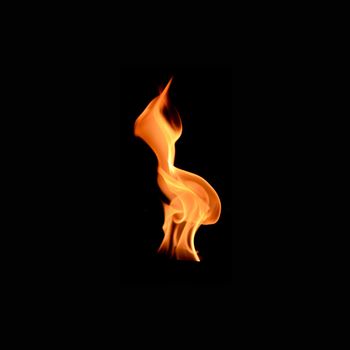 A shot of a flame on a plain backgrpond