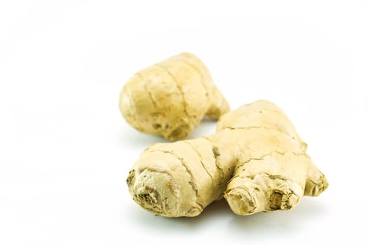 Ginger isolated on white
