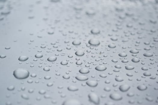 water drops background