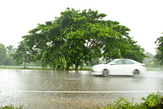 Car on wet roads