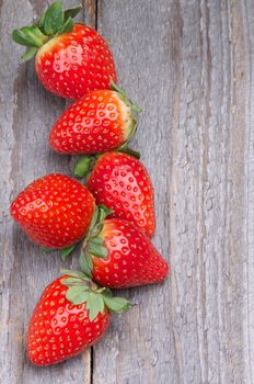 Ripe Strawberries Full Body In a Row isolated on Wooden background. Top View