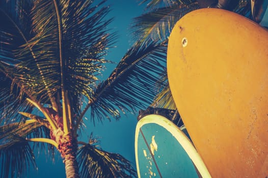 Retro Aged Style Photo Of Surf Boards And Palm Trees