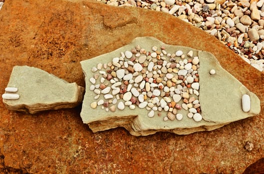 Fish shape of the pebbles on the sea boulder