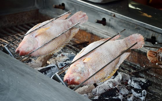 Grill fish with salt on stove