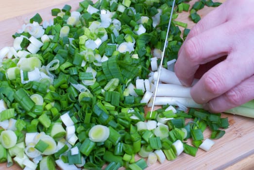 Woman working in the kitchen chopping up the vegetables. Female slicing spring onions for salad. Close up chef cutting onions