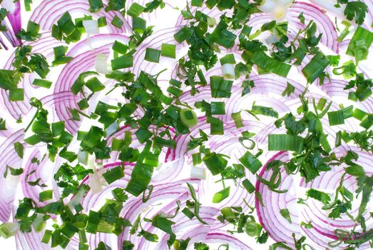 onions on a white background