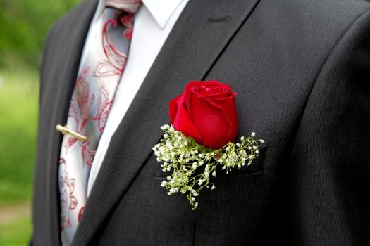 Rose in a buttonhole of the groom close up