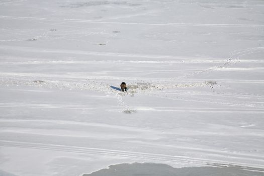 fisherman in  winter on the frozen river