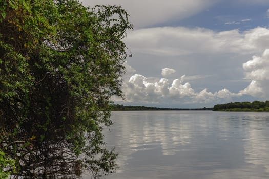 the zambezi river between Zimbabwe and Zambia.