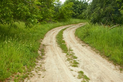 Rural dirt road among the trees in summer time