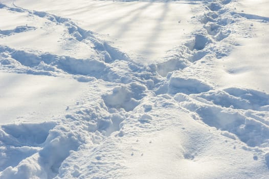 crossed human tracks on the fresh white snow