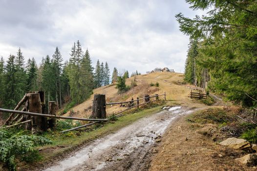 Dirty road and single house near the forest in Carpathian mountains
