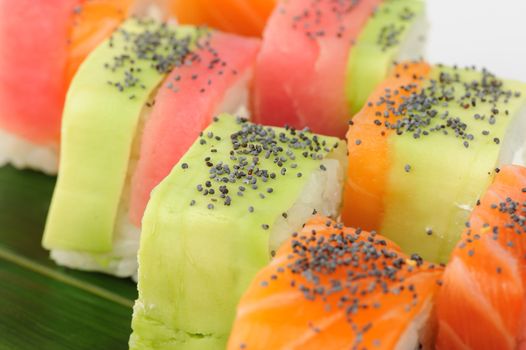 Rainbow sushi macro closeup, on white background