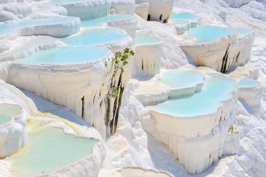 Blue cyan water travertine pools at ancient Hierapolis, now Pamukkale, Turkey