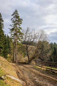 Dirty road in Carpathian village Vorokhta in the Ukraine