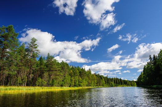 River Syapsya in Karelia at the north of Russia