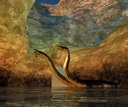 A Plesiosaurus captures a Eurohinosaurus marine reptile in a sea cave off the coast of Jurassic Seas.