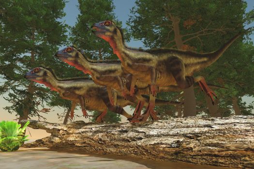 Hypsilophodon was a herbivorous dinosaur from the Jurassic and Cretaceous Eras.