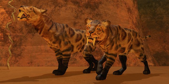 Two Smilodon cats find protection in a vast cave system in the Eocene Era.