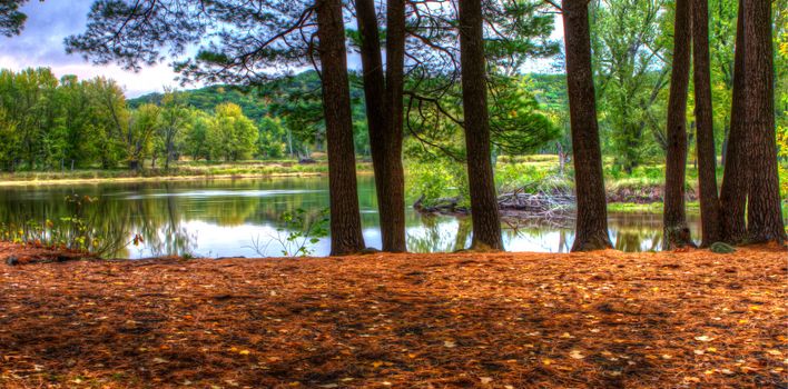 HDR landscape of a forest and pond in soft focus