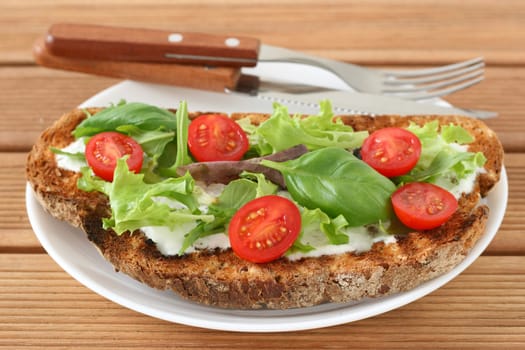 toast with cheese and tomato