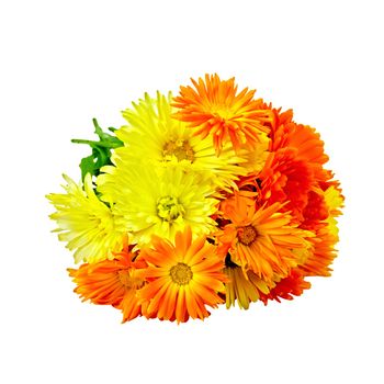 Bouquet of calendula flowers isolated on white background