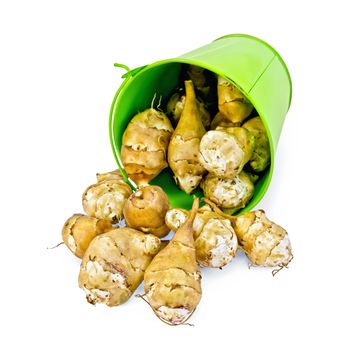 Pile of Jerusalem artichoke poured out a small green bucket isolated on white background