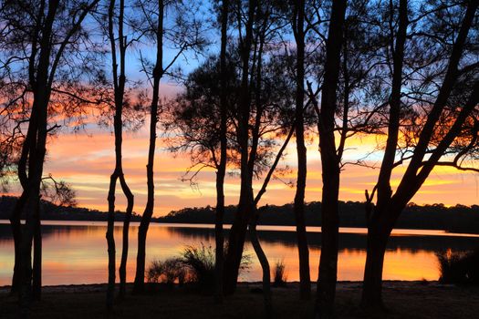 Spectacular sunrise and reflections over the lagoon and the silhouette of the beautiful she-oak casuarina trees. A perfect day in Australia.