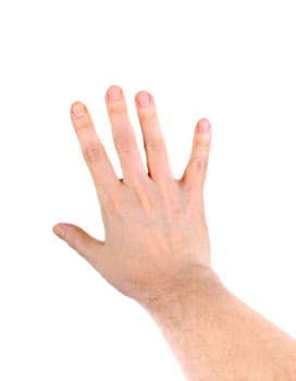 Hand isolated on the White Background