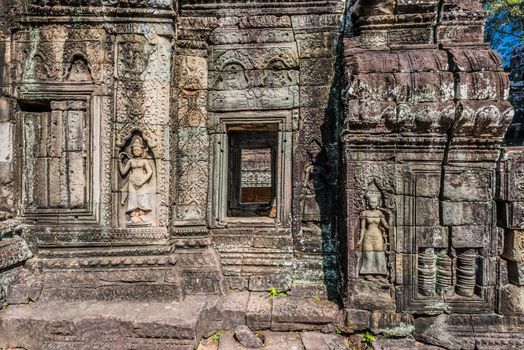 ta prohm angkor wat cambodia