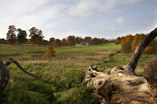 A view of a park in autumn with overcast sky
