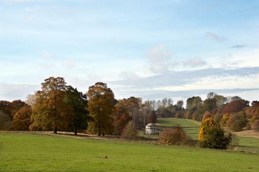 A view of a park in autumn with overcast sky
