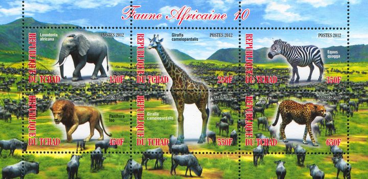 CHAD - CIRCA 2012: stamp printed by Chad, shows african animal, circa 2012