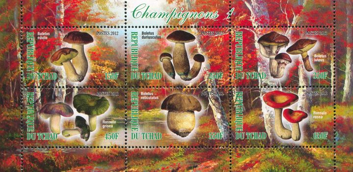 CHAD - CIRCA 2012: stamp printed by Chad, shows mushroom, circa 2012
